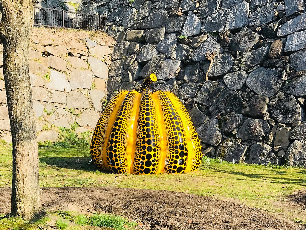 210803福岡追櫻花。舞鶴公園西公園還有不知名的小公園