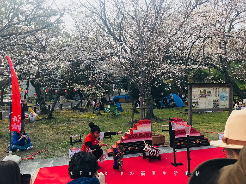 210803福岡追櫻花。舞鶴公園西公園還有不知名的小公園