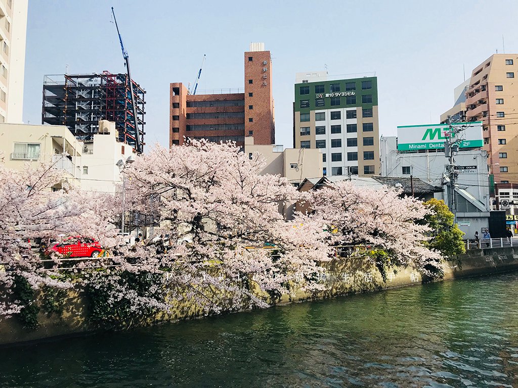 福岡天神中央公園