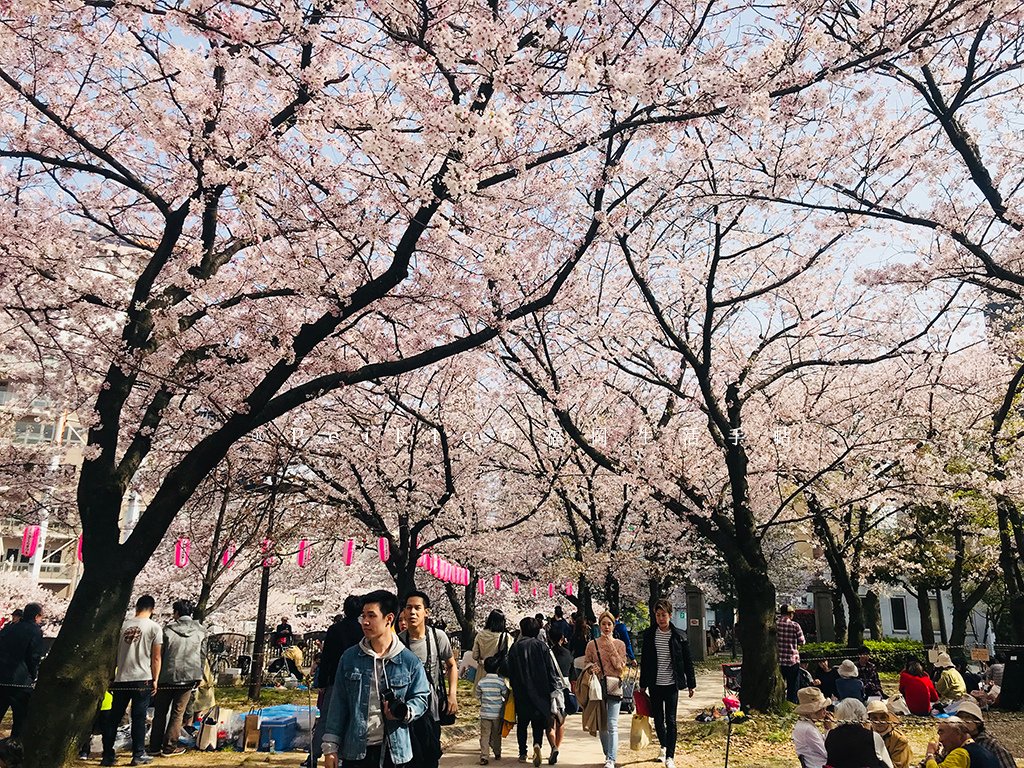 福岡天神中央公園