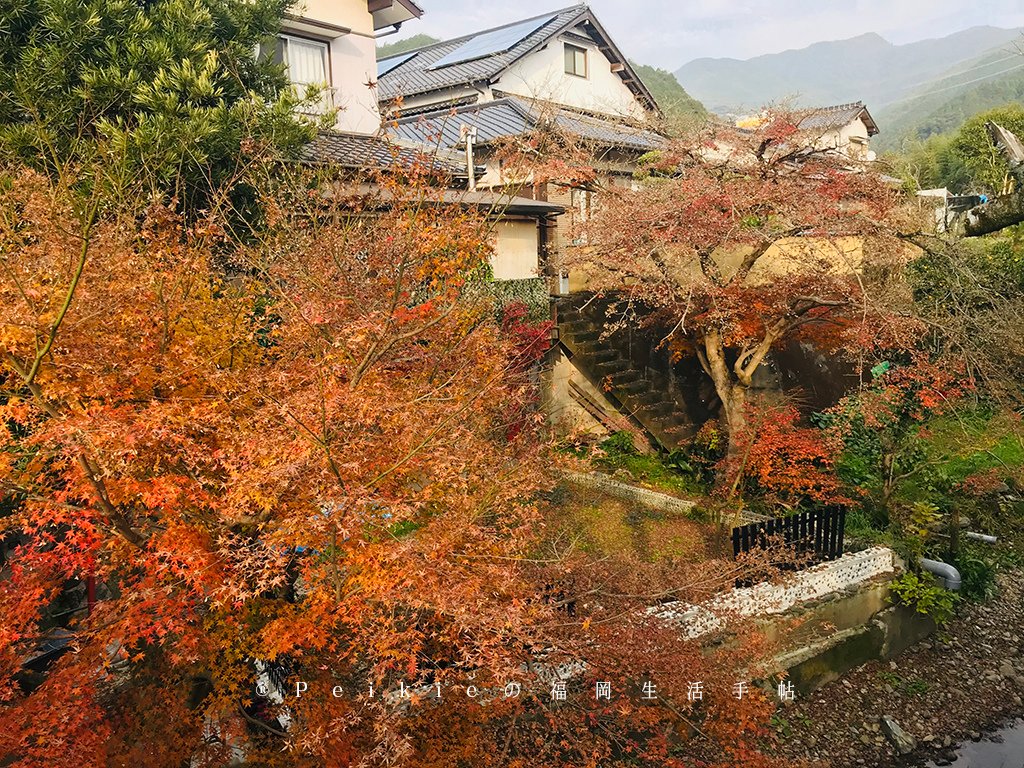 福岡・朝倉紅葉狩り・秋月城跡