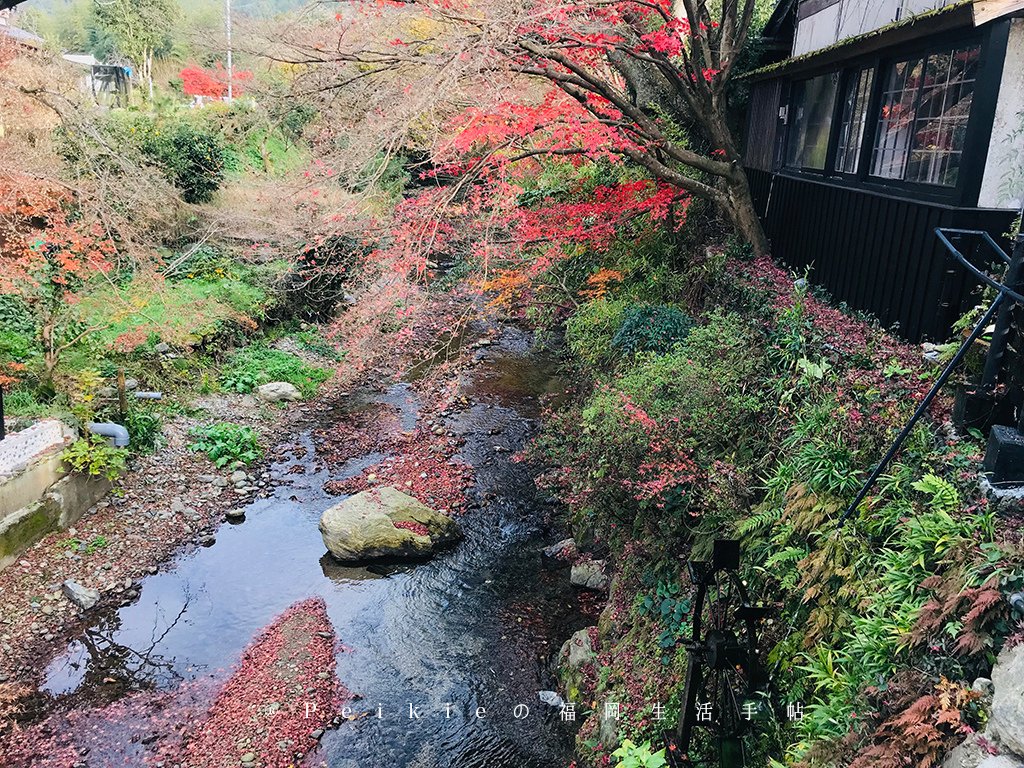 福岡・朝倉紅葉狩り・秋月城跡