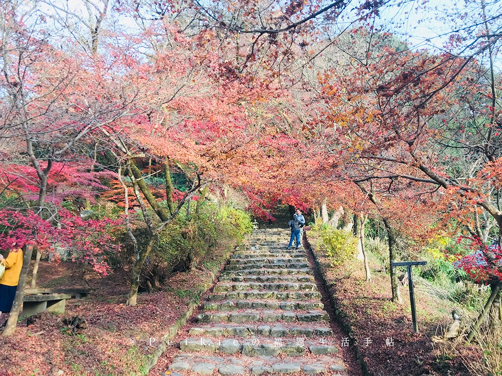 福岡・朝倉紅葉狩り・秋月城跡