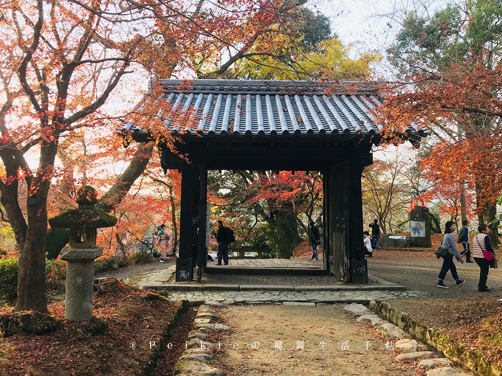 福岡・朝倉紅葉狩り・秋月城跡