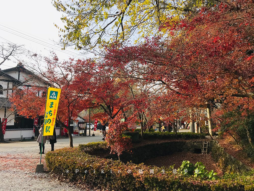 福岡・朝倉紅葉狩り・秋月城跡