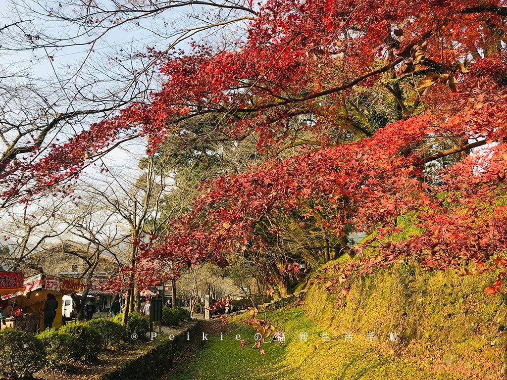 福岡・朝倉紅葉狩り・秋月城跡