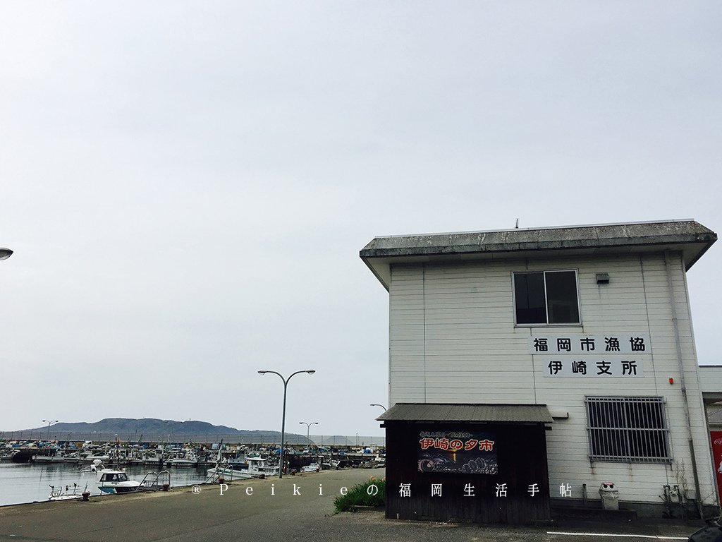 福岡居民買新鮮魚貨好去處・福岡市魚協伊崎支所