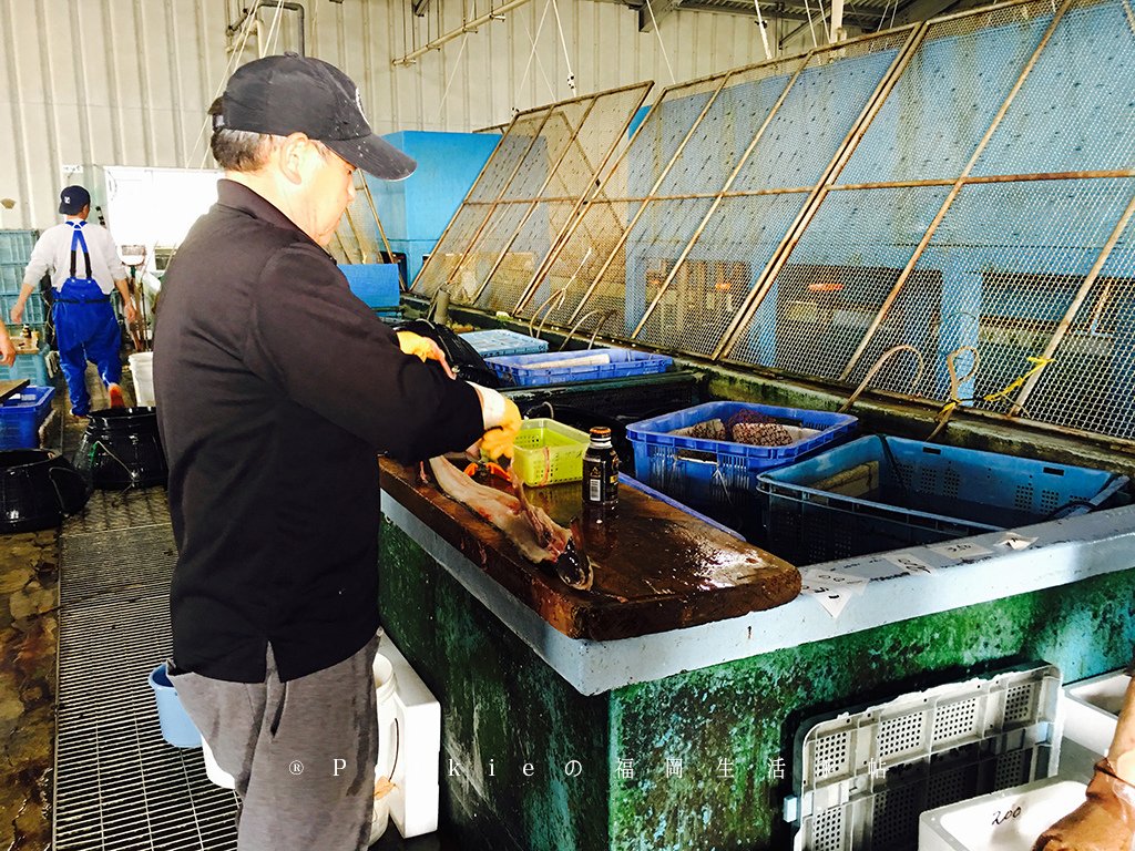 福岡居民買新鮮魚貨好去處・福岡市魚協伊崎支所