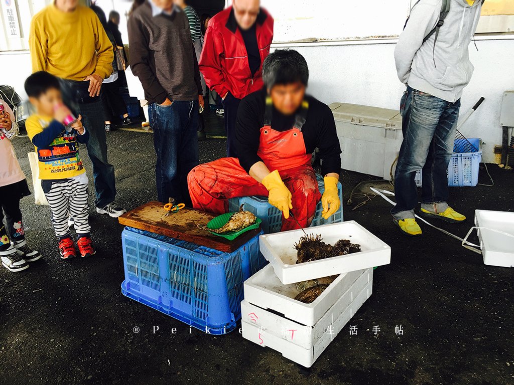 福岡居民買新鮮魚貨好去處・福岡市魚協伊崎支所