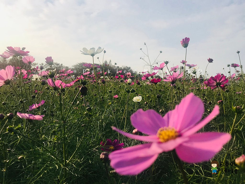 福岡縣小郡麒麟啤酒工廠見學參觀