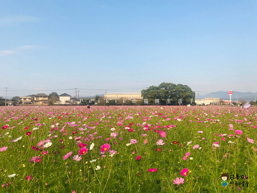 福岡縣小郡麒麟啤酒工廠見學參觀