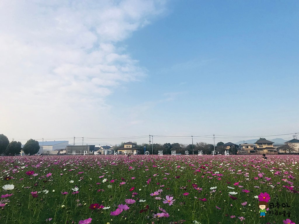 福岡縣小郡麒麟啤酒工廠見學參觀