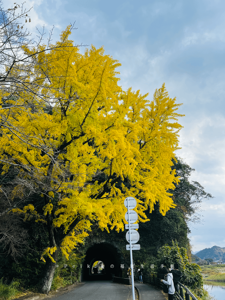 2021年大分県中津一目八景、御霊もみじ、汽車ボッボ、鬼太郎鱧料理