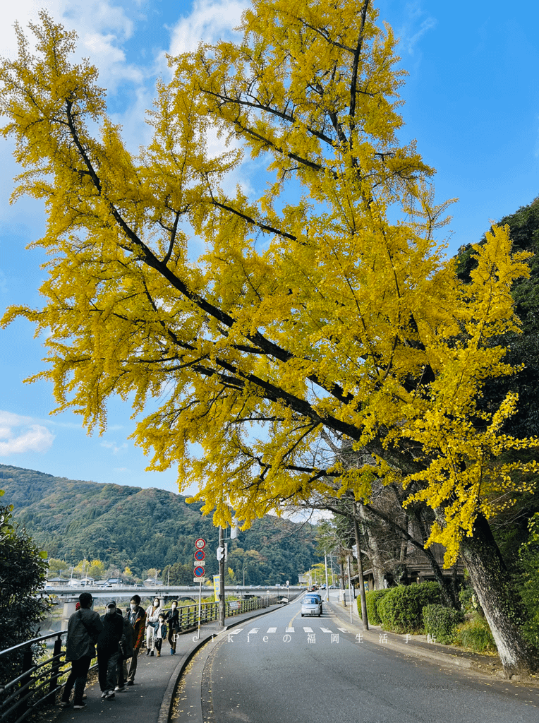 2021年大分県中津一目八景、御霊もみじ、汽車ボッボ、鬼太郎鱧料理