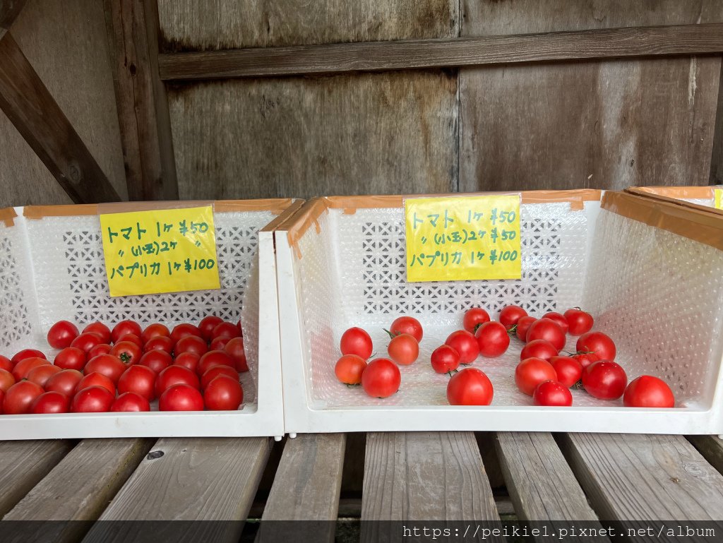 九州南阿蘇登山免之石騎腳踏車田樂料理赤牛丼蕎麥麵