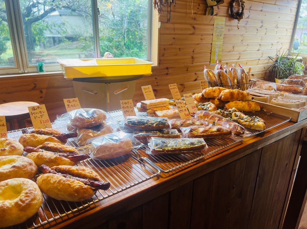 南阿蘇大自然運動之旅。免之石登山，阿蘇騎腳踏車，田樂當地美食，赤牛洞，住宿獨棟溫泉心乃間間