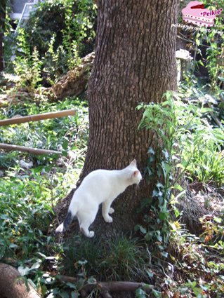 DSCF9716.JPG