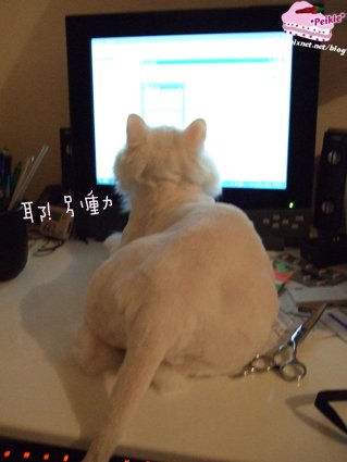 耶別動.jpg