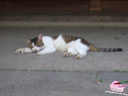 DSCF9717.JPG