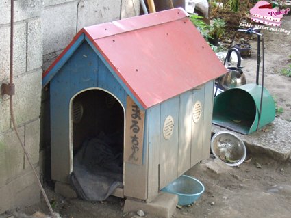 DSCF9724.JPG