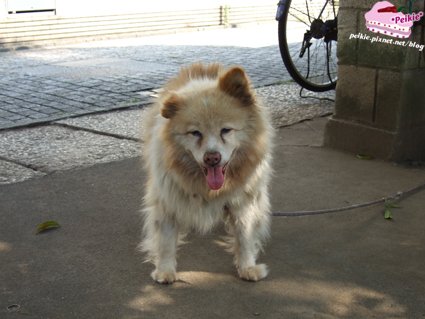 DSCF9723.JPG