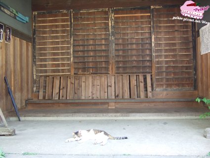 DSCF9718.JPG