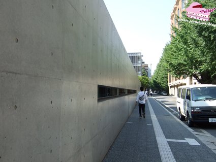 DSCF9466.JPG