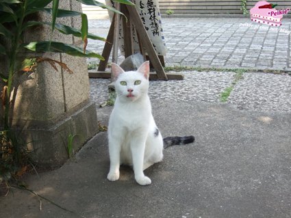 DSCF9722.JPG