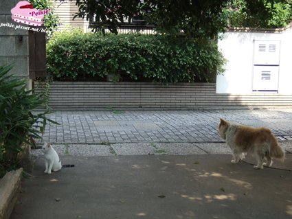 DSCF9720.JPG