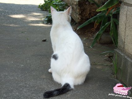 DSCF9726.JPG