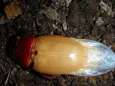 DSCN3980.JPG