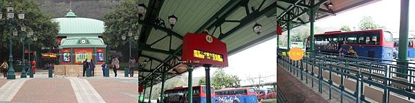 SAM_3818-horz