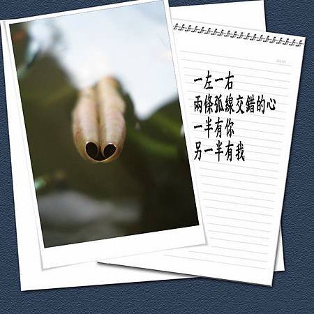 心。愛情