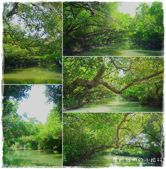 袖珍亞馬遜河