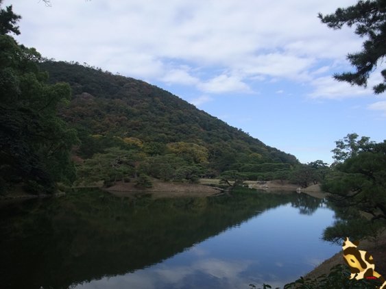 DSCF1864.jpg