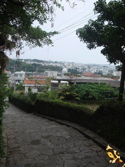 DSCF4449.jpg