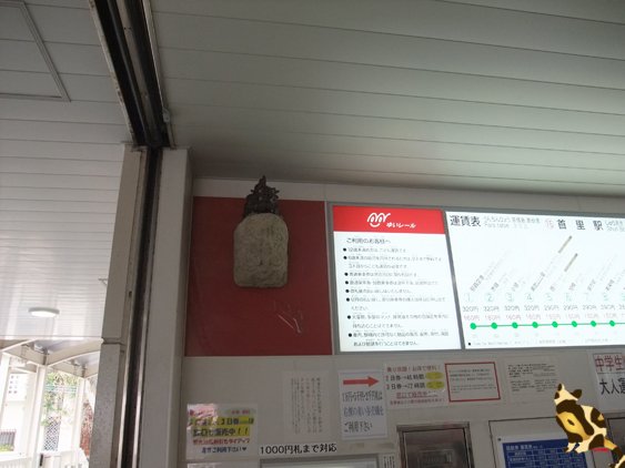 DSCF4336.jpg
