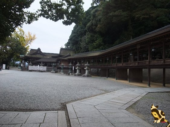 DSCF1809.jpg