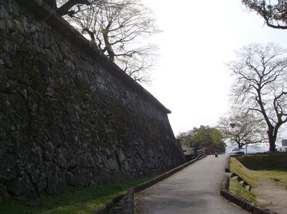 DSC05650.jpg