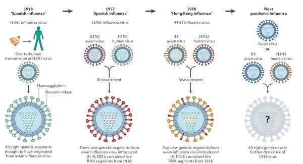 pandemic disease.bmp