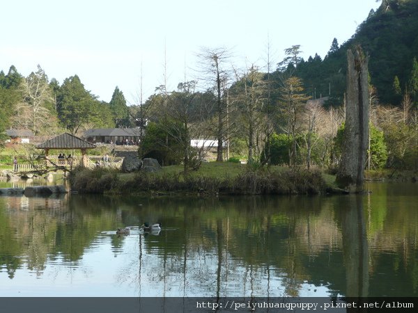 Day 2-18 明池全景.JPG