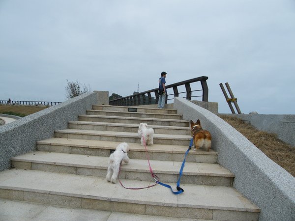 DSCF4293.JPG