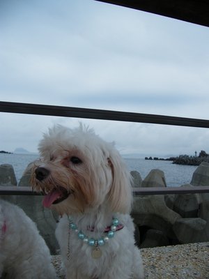 DSCF4335.JPG