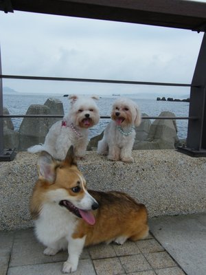 DSCF4345.JPG