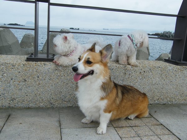 DSCF4351.JPG