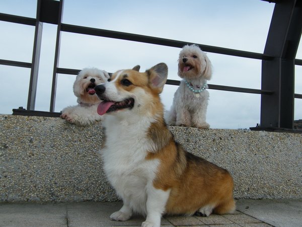 DSCF4353.JPG