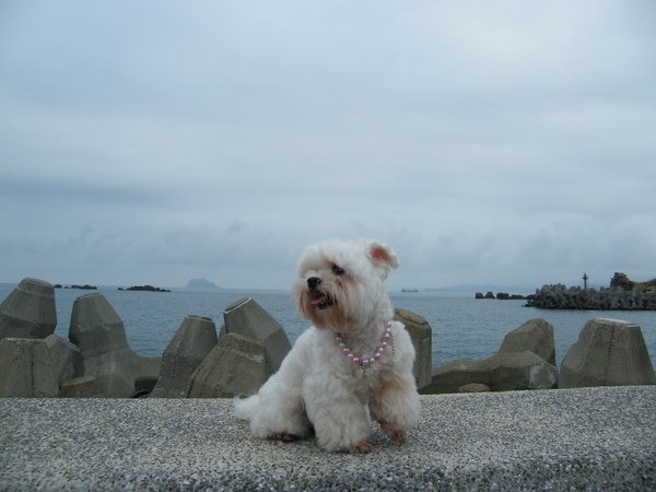 DSCF4370.JPG