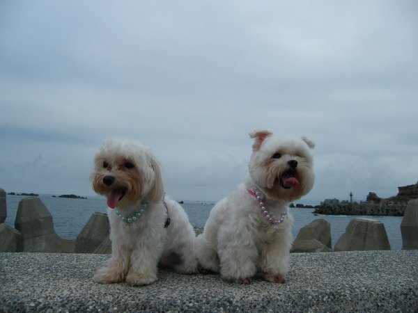 DSCF4373.JPG