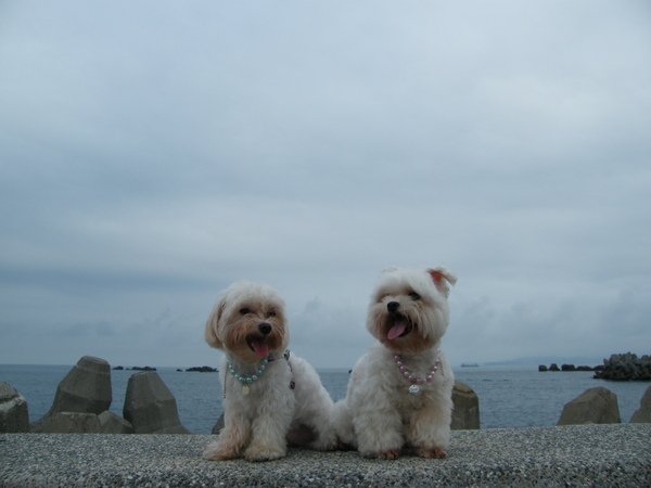 DSCF4384.JPG