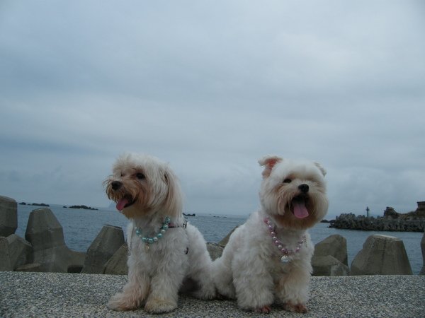 DSCF4385.JPG